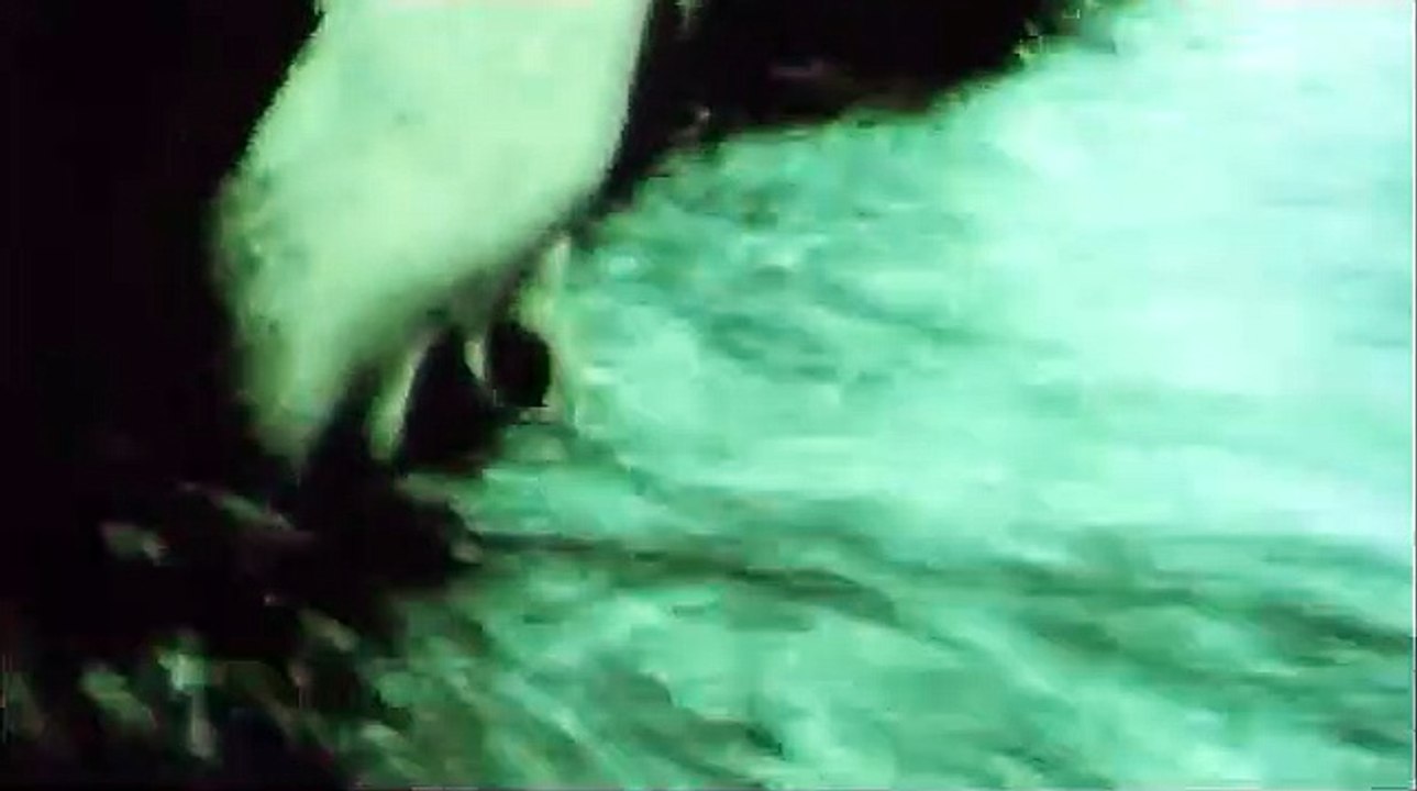 Das weisse Rauschen | movie | 2002 | Official Trailer