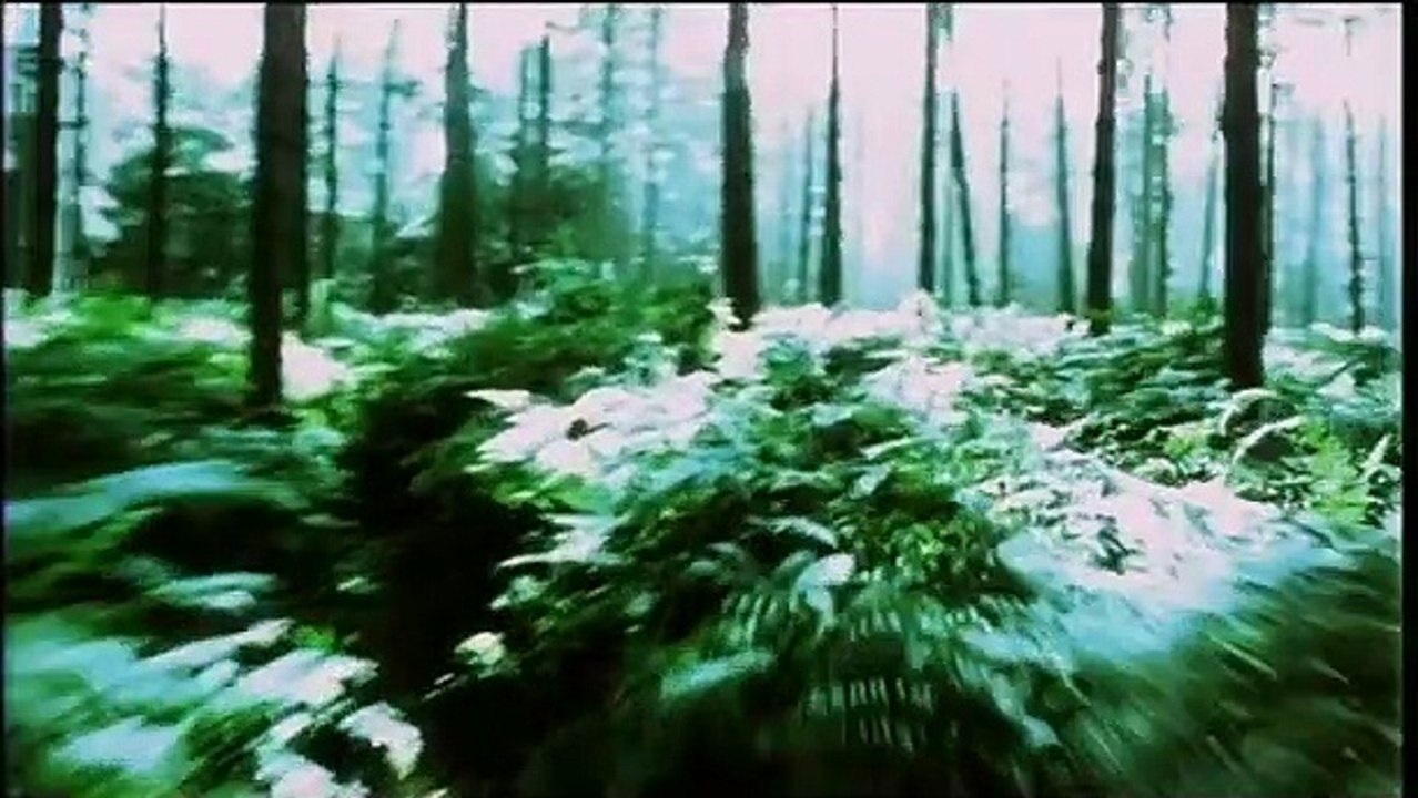 The Bunker | movie | 2002 | Official Trailer