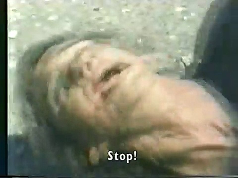 Giallo a Venezia | movie | 1979 | Official Trailer