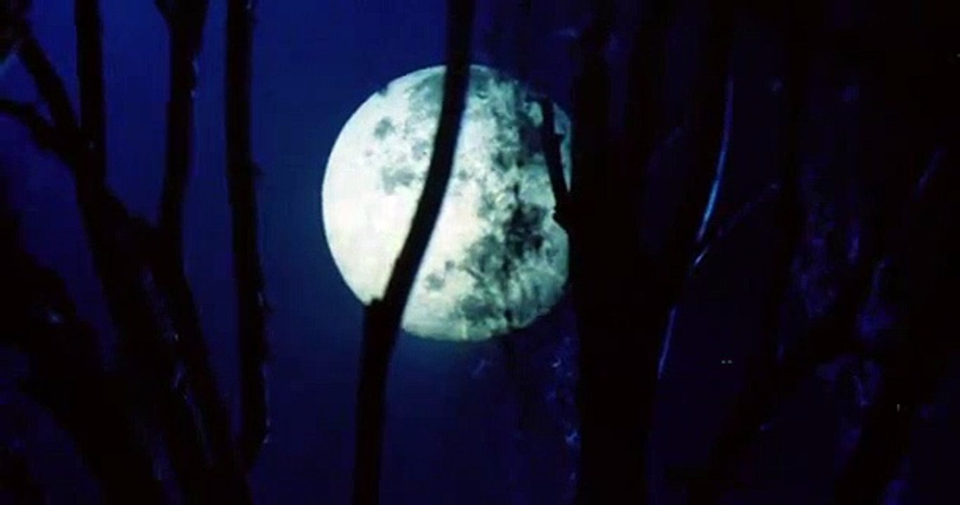 Hall of Death - Die Todeshalle | movie | 1983 | Official Trailer