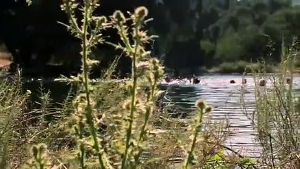 Lake Dead | movie | 2008 | Official Trailer