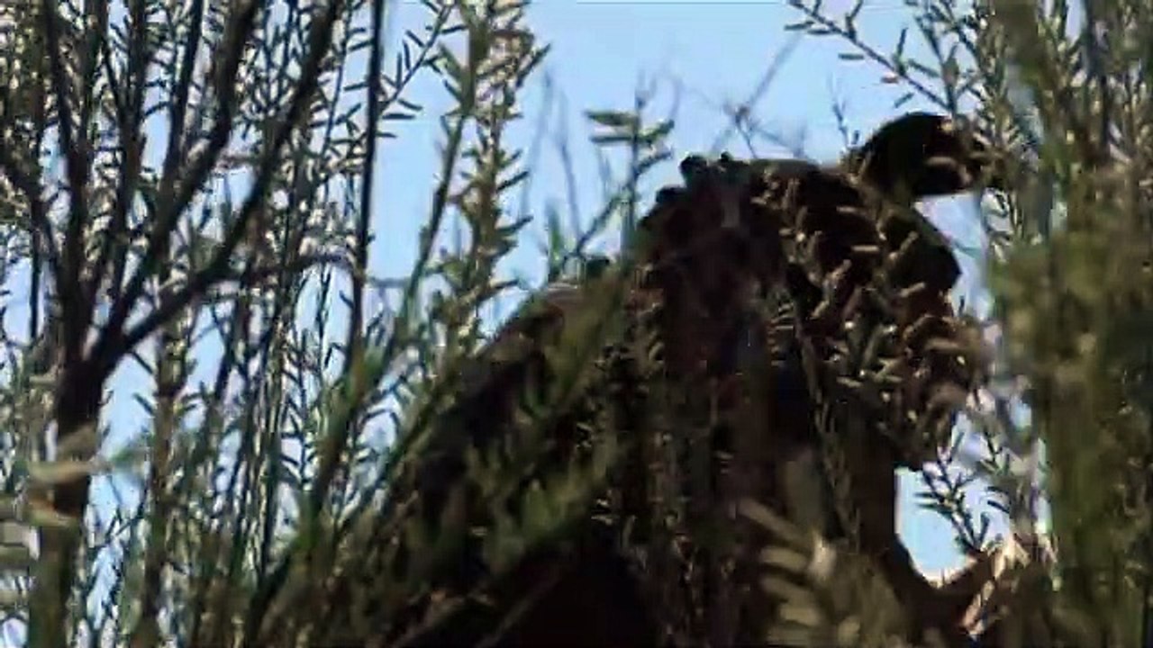 Rottweiler | movie | 2005 | Official Trailer