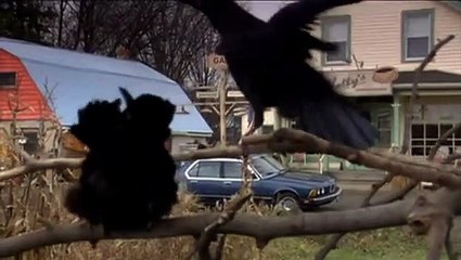 Die Vögel - Attack from above | movie | 2007 | Official Trailer