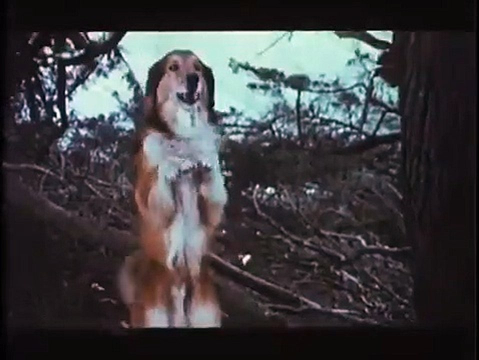 Die Meute | movie | 1977 | Official Trailer