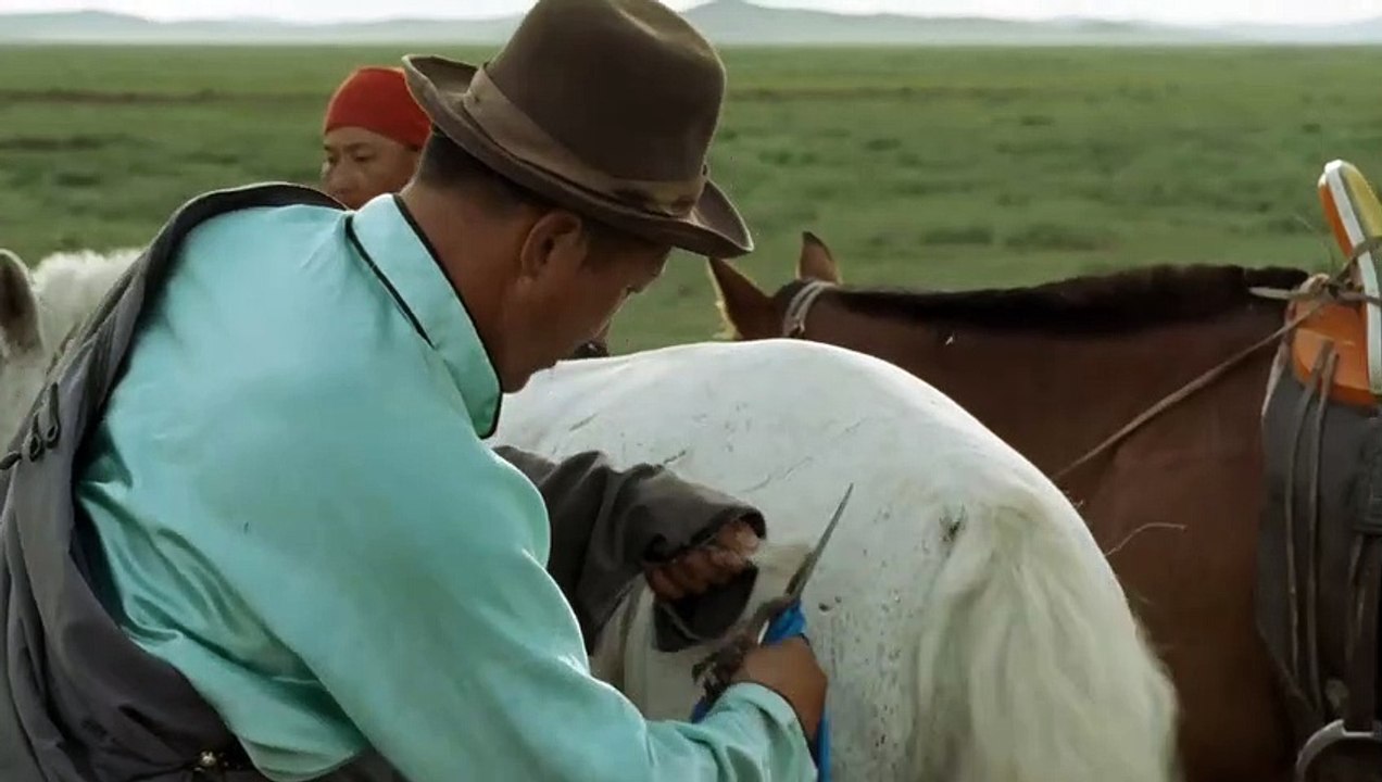 Das Lied von den zwei Pferden | movie | 2010 | Official Trailer