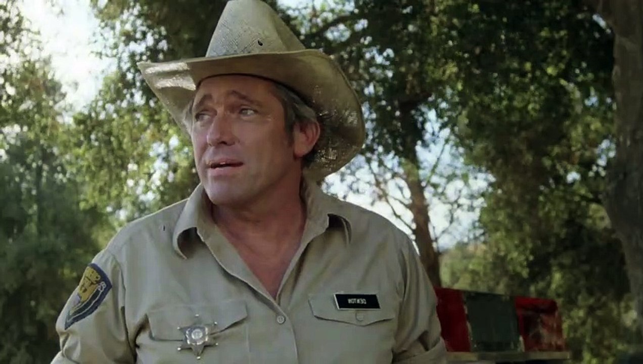 Der Leichenwagen | movie | 1980 | Official Trailer