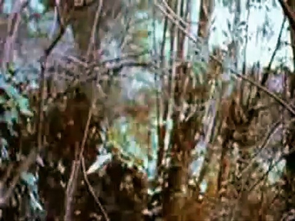 Das Geheimnis der fliegenden Teufel | movie | 1980 | Official Trailer