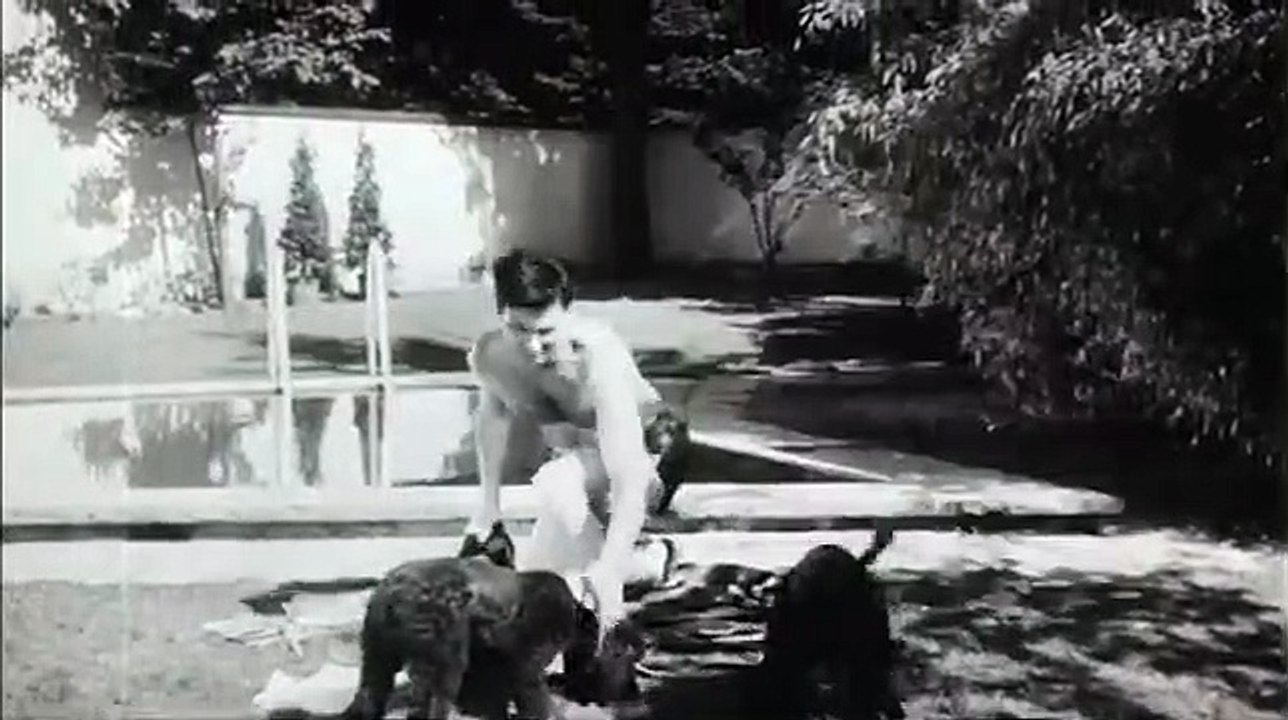 Bekenntnisse eines möblierten Herrn | movie | 1964 | Official Trailer