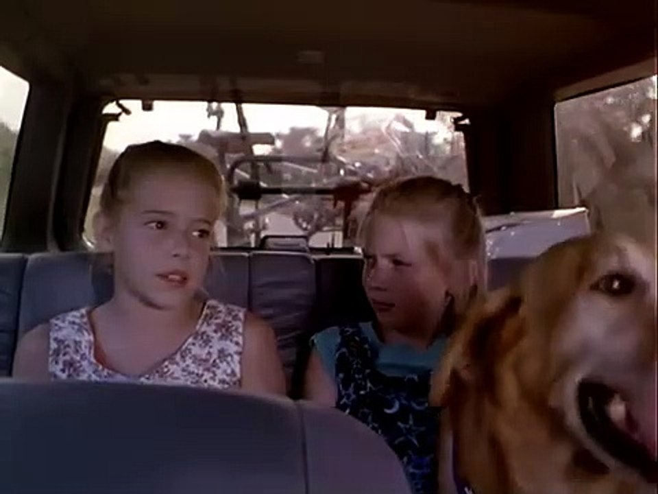 Die Vögel II: Die Rückkehr | movie | 1994 | Official Trailer