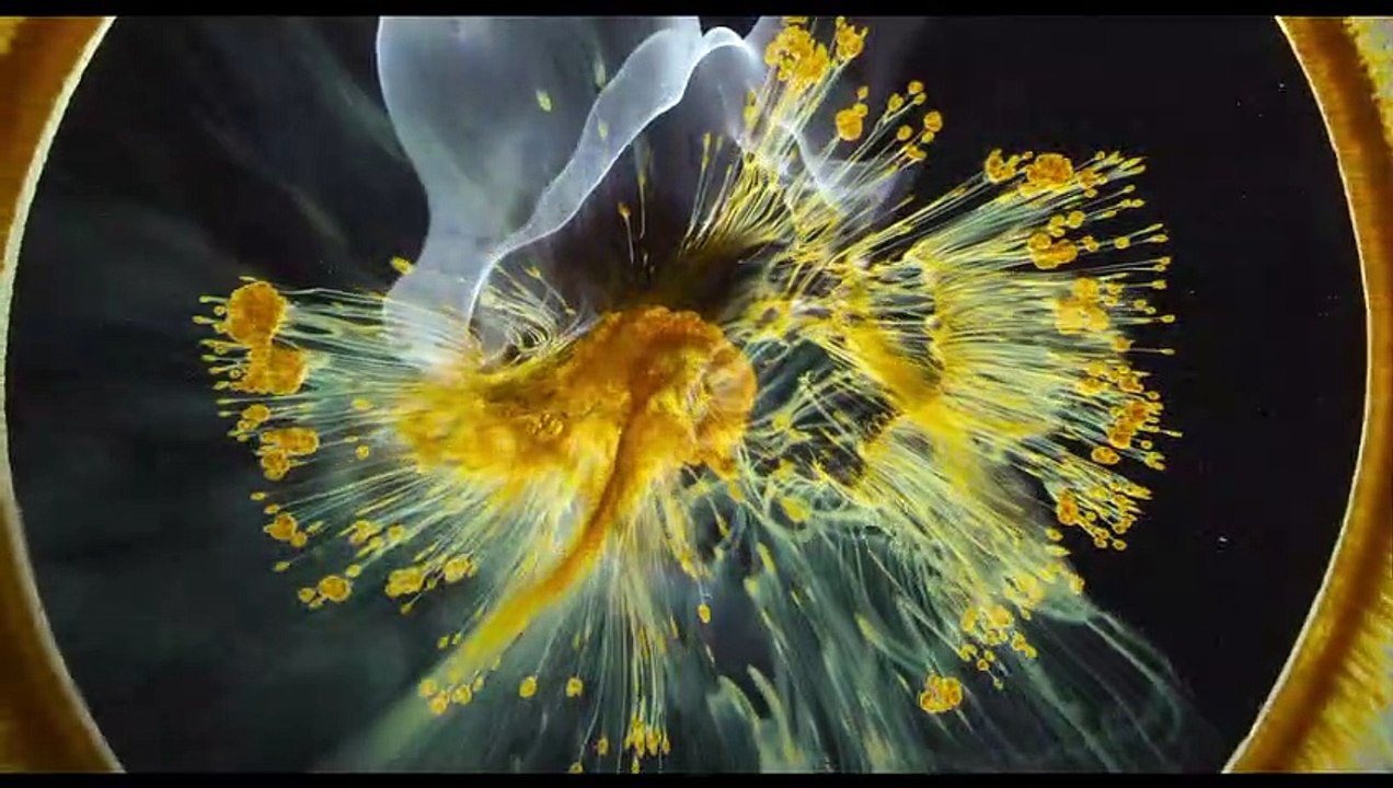 Voyage of Time: Life's Journey | movie | 2016 | Official Trailer