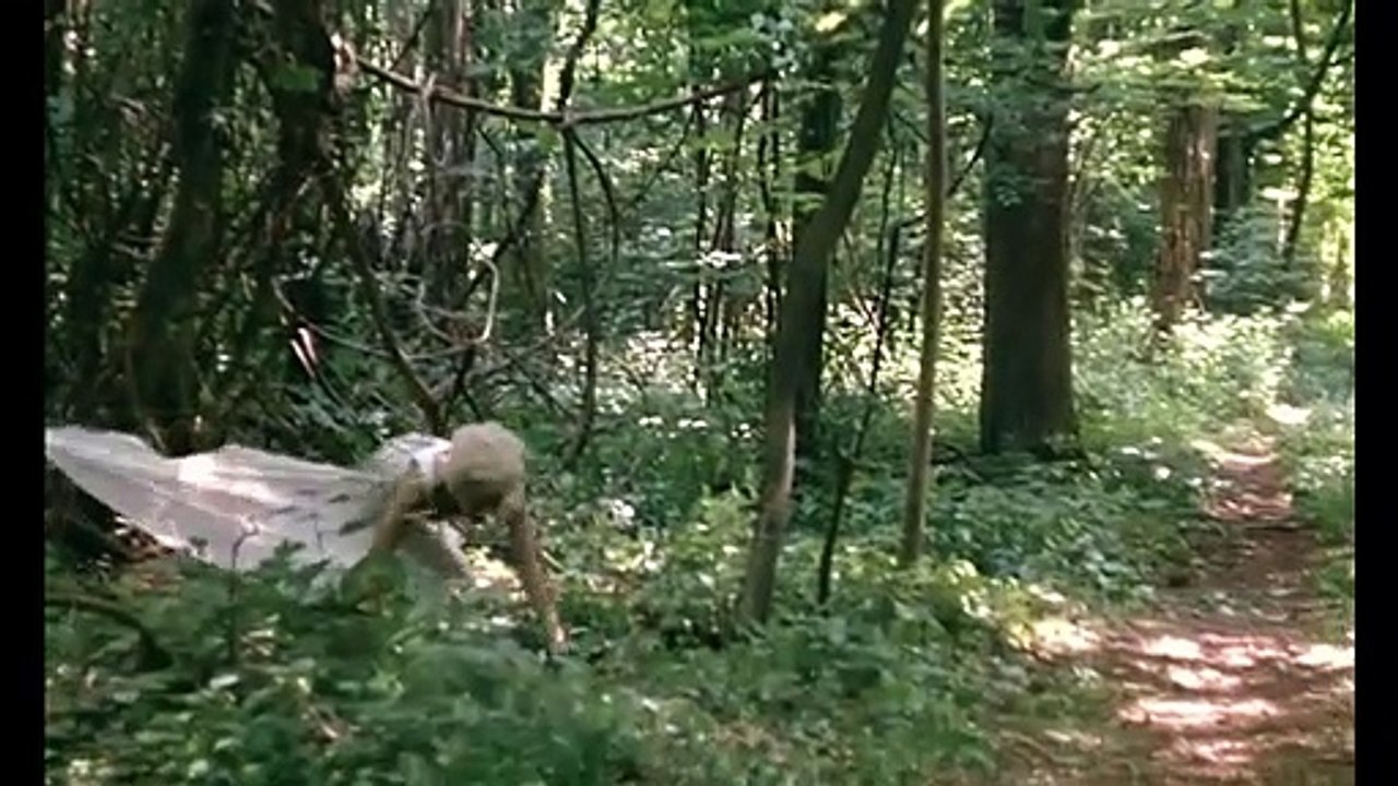 La Bête - Die Bestie | movie | 1975 | Official Trailer