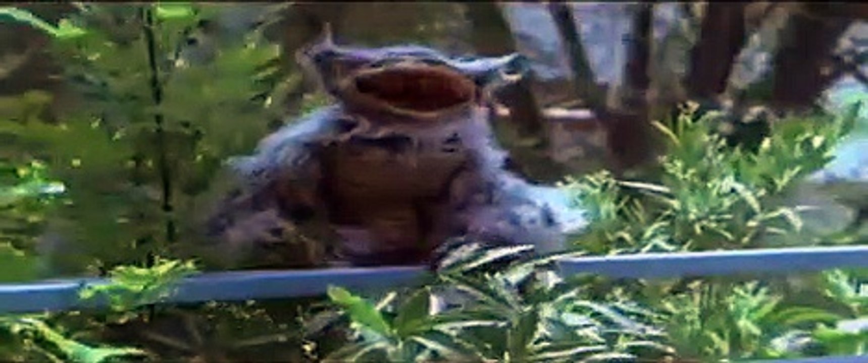 Hobgoblins 2 | movie | 2009 | Official Trailer