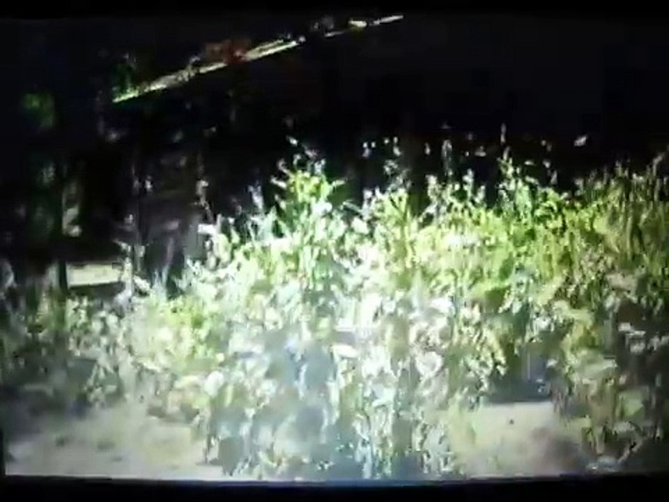 Ausflug in das Grauen | movie | 1981 | Official Trailer