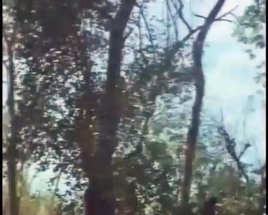 Die Herausforderung der Ninja | movie | 1986 | Official Trailer