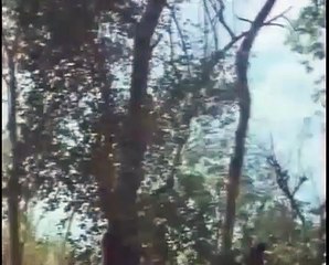 Die Herausforderung der Ninja | movie | 1986 | Official Trailer