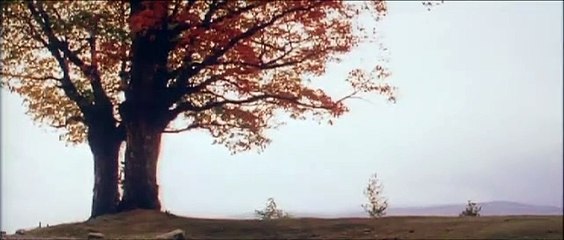 Die Invasion der Barbaren | movie | 2003 | Official Trailer