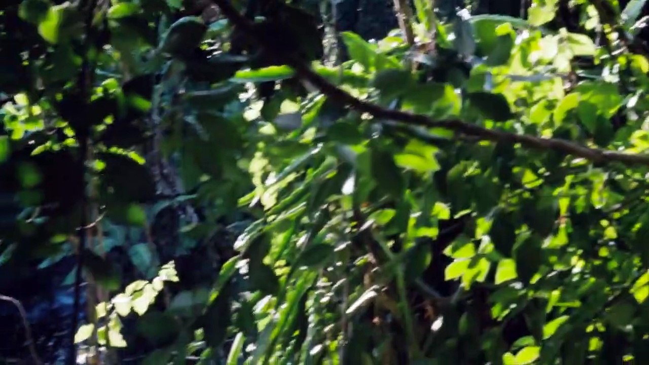 Tarzan in Manhattan | movie | 1989 | Official Trailer