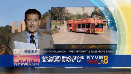 Lavalantula – Angriff der Feuerspinnen | movie | 2015 | Official Trailer