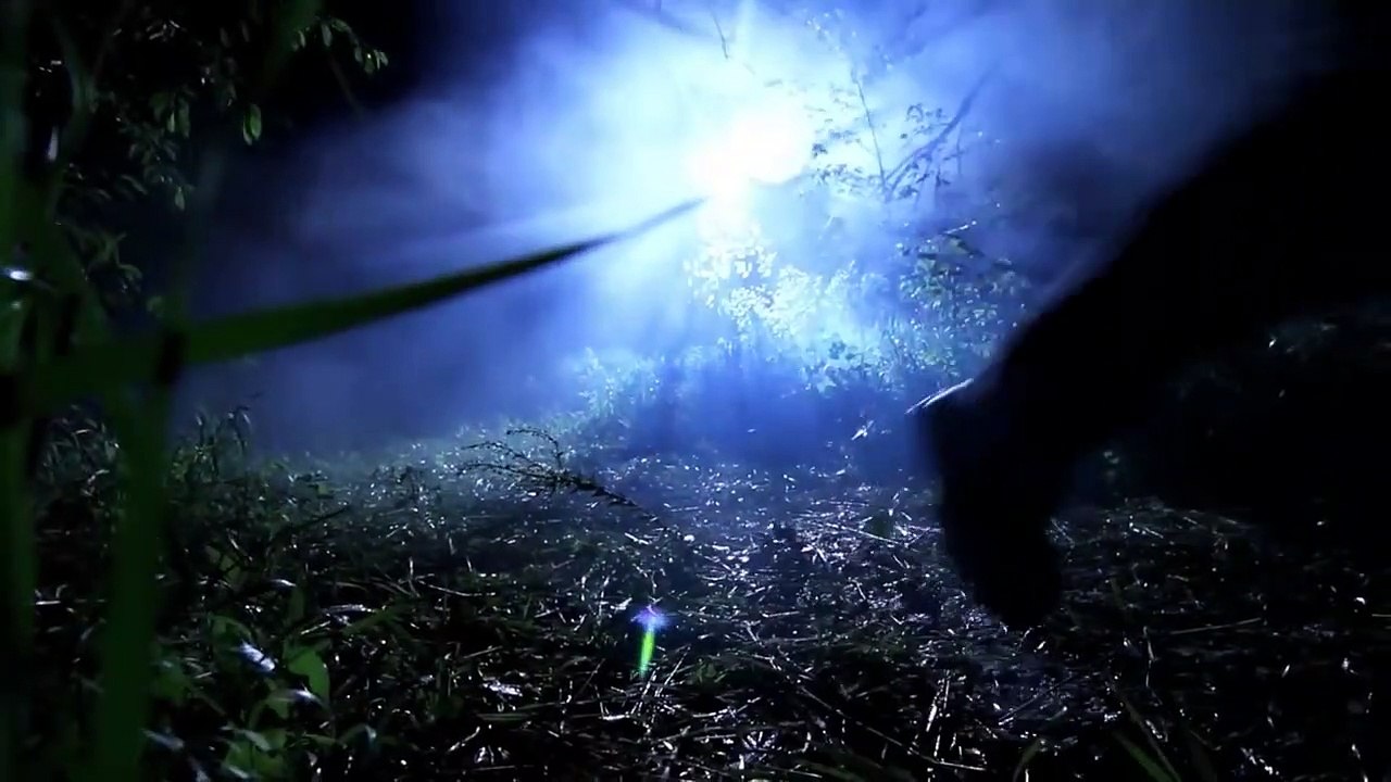 Dead Girls - Mädchen des Todes | movie | 2014 | Official Trailer