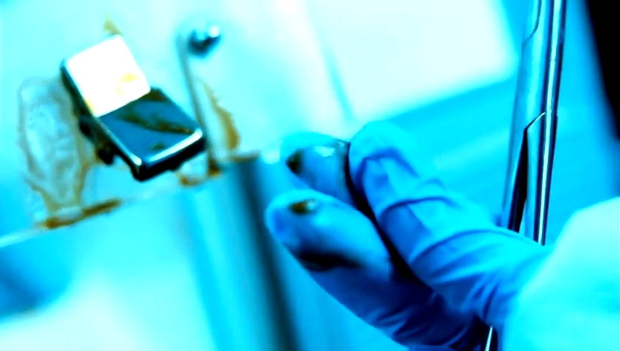 Splice - Das Genexperiment | movie | 2010 | Official Trailer