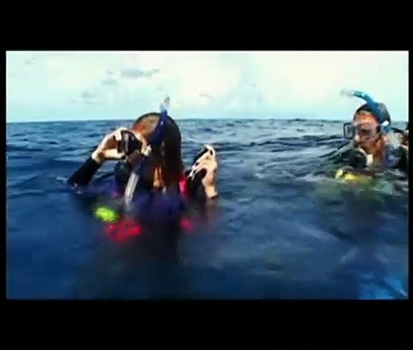 Open Water | movie | 2004 | Official Trailer