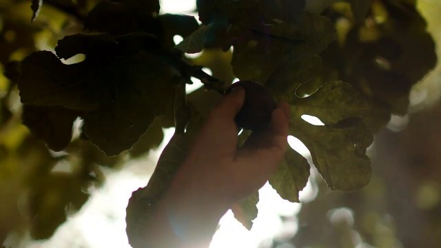 Сын Божий | movie | 2014 | Official Trailer