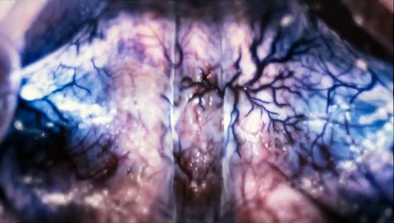 Lügen macht erfinderisch | movie | 2009 | Official Trailer