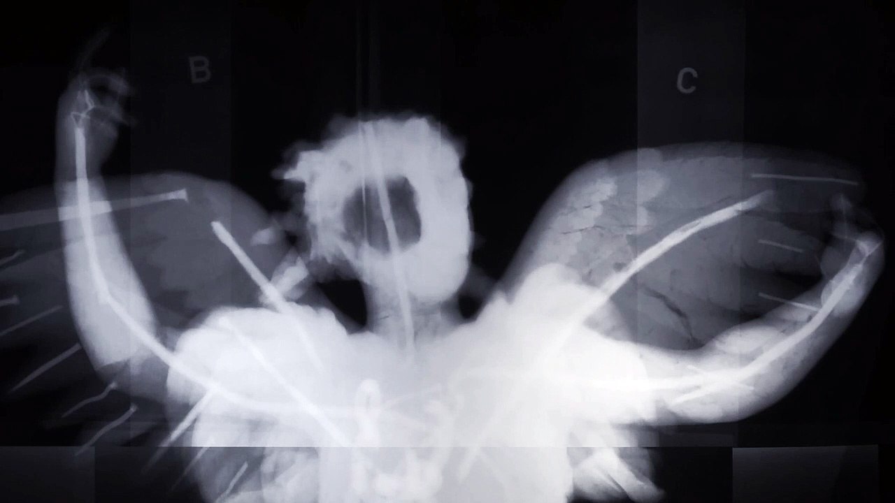 Die Wirklichkeit kommt | movie | 2014 | Official Trailer