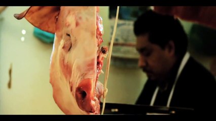 México Bárbaro – Grausame Legenden | movie | 2015 | Official Trailer