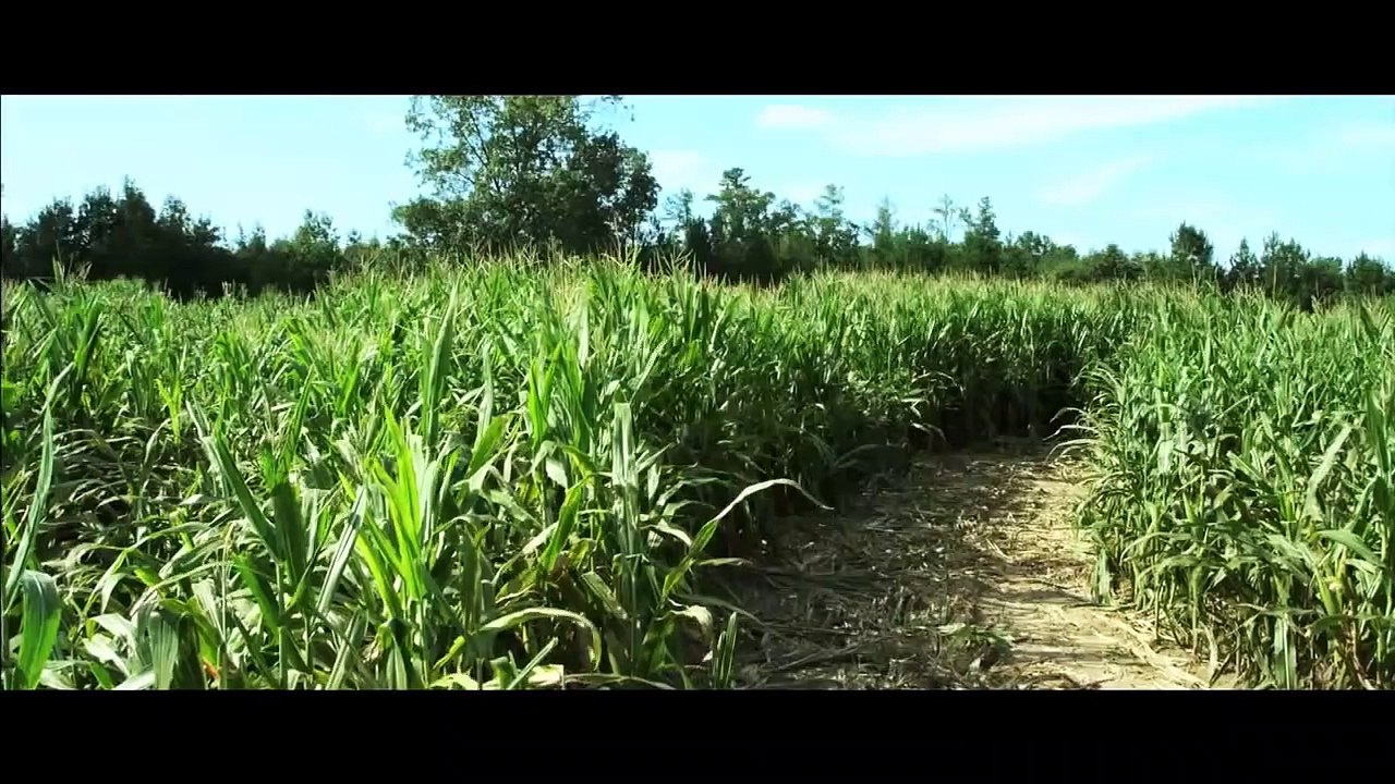 Der Erbe | movie | 2014 | Official Trailer