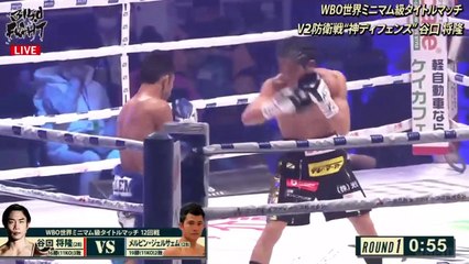 Masataka Taniguchi vs Melvin Jerusalem (06-01-2023) Full Fight