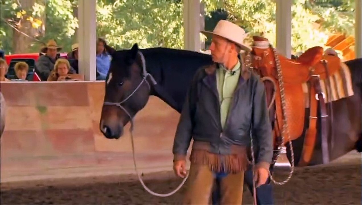 Buck - Der wahre Pferdeflüsterer | movie | 2012 | Official Trailer