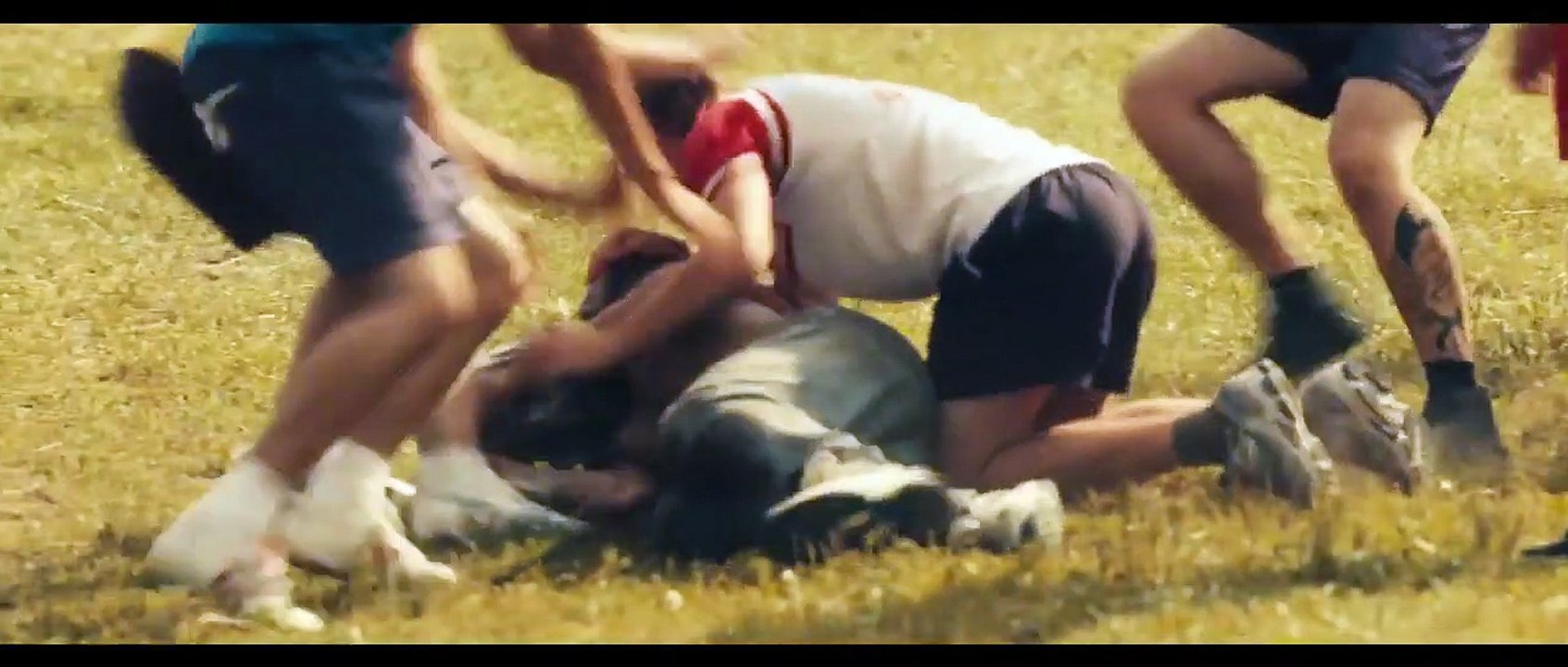 Im Namen des... | movie | 2013 | Official Trailer