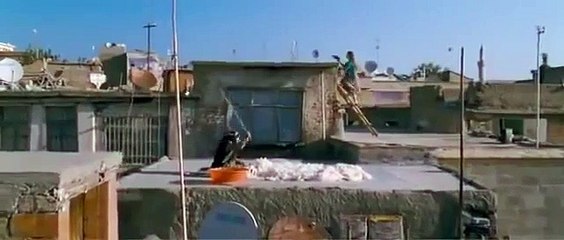 Gelecek Uzun Sürer | movie | 2011 | Official Trailer