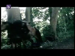 Die Drei Musketiere | movie | 2005 | Official Trailer