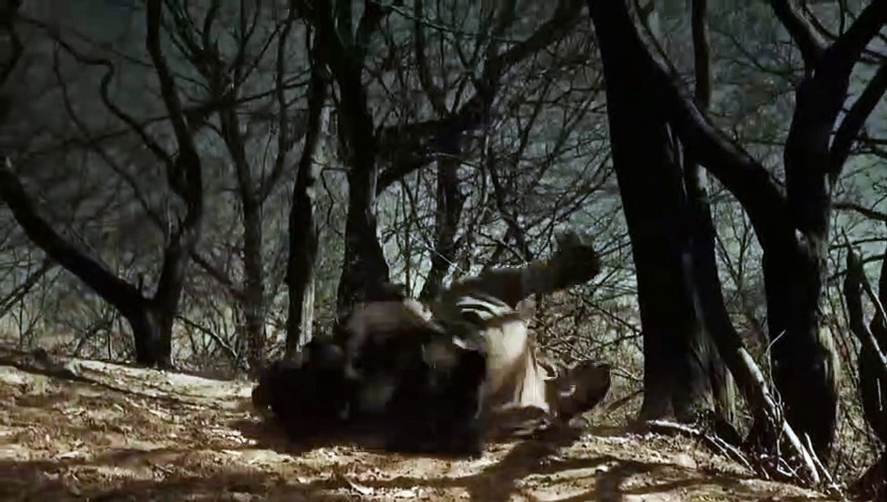 Robin Hood: Ghosts of Sherwood | movie | 2012 | Official Trailer