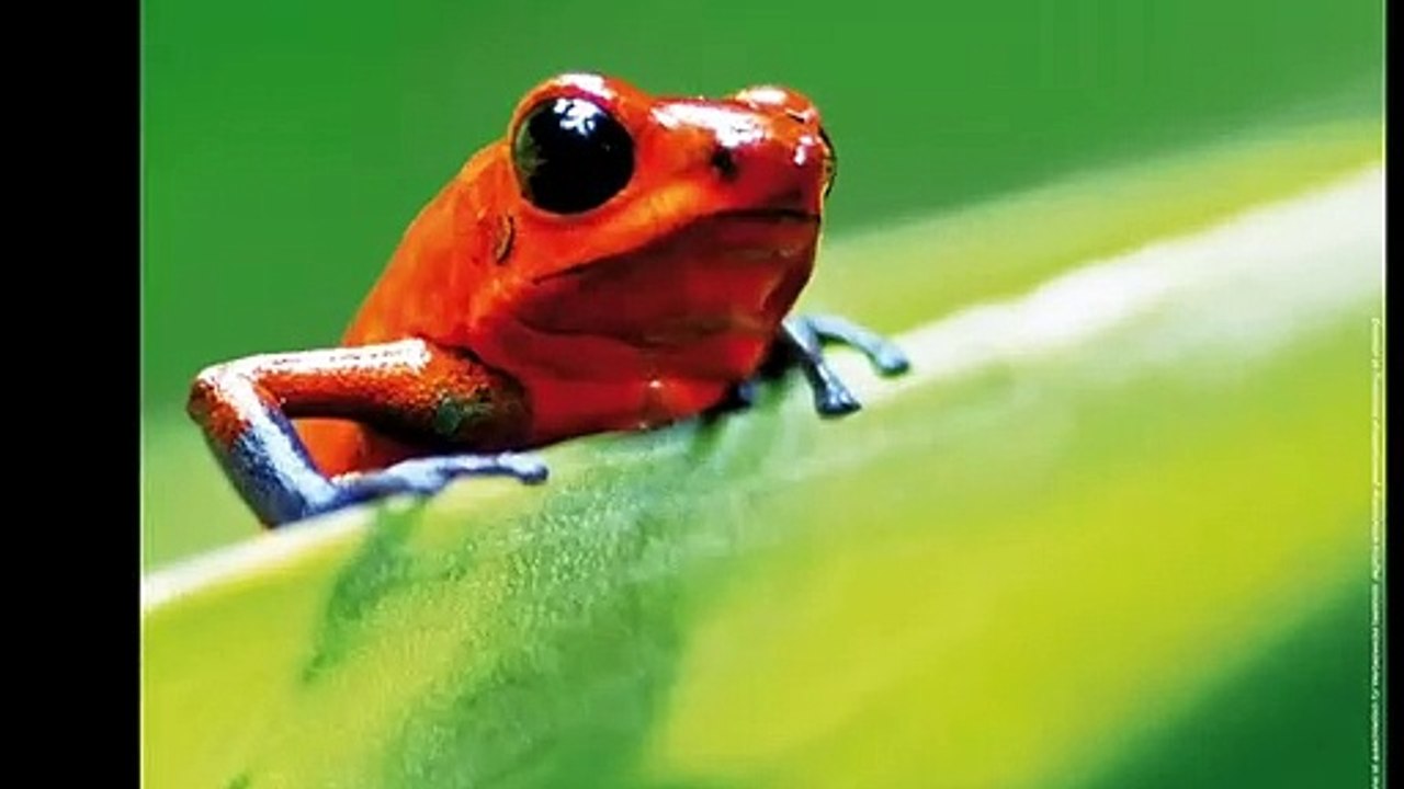 Unser Leben | movie | 2011 | Official Trailer