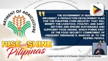 DA, maglulunsad ng sustainable corn development program ngayong taon