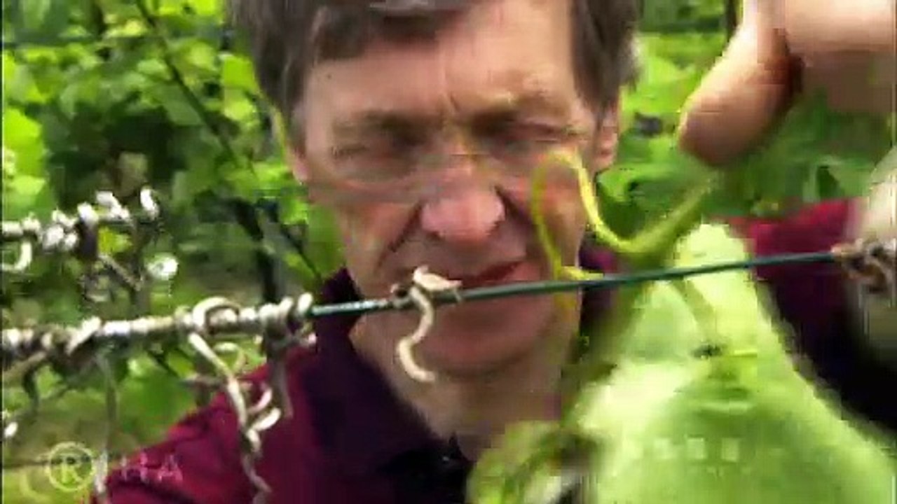 Wachau - Land am Strome | movie | 2005 | Official Trailer