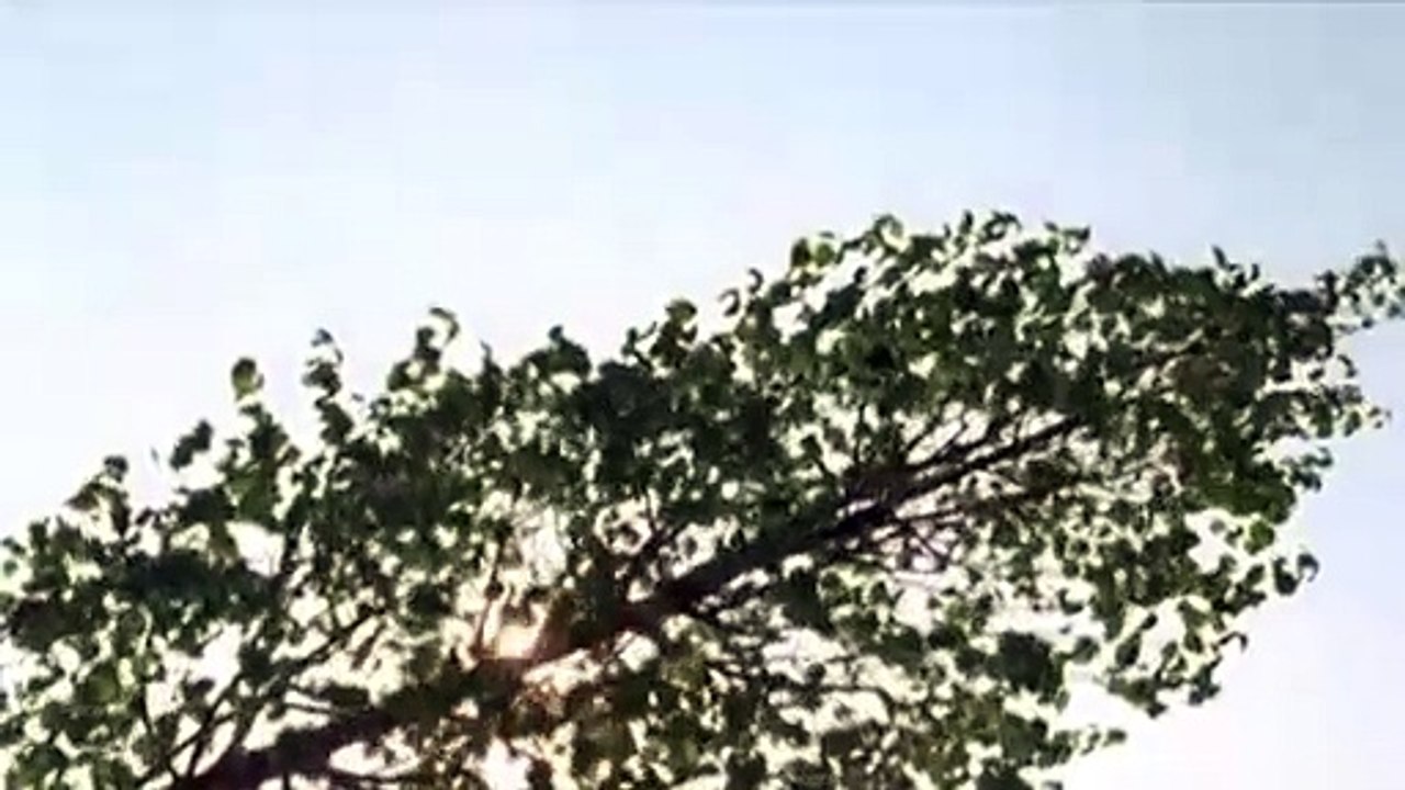 Der letzte schöne Tag | movie | 2012 | Official Trailer