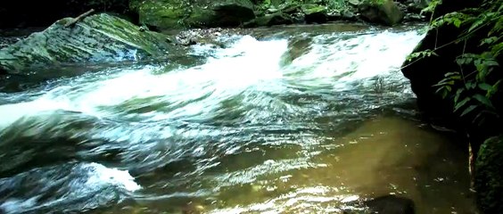 Vierter Sommer | movie | 2011 | Official Trailer