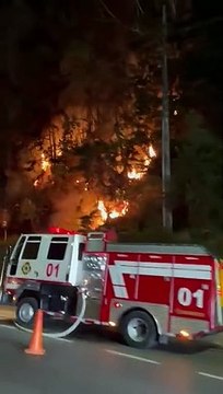 (EN VIDEO): Se presenta incendio forestal en la Autopista Medellín - Bogotá