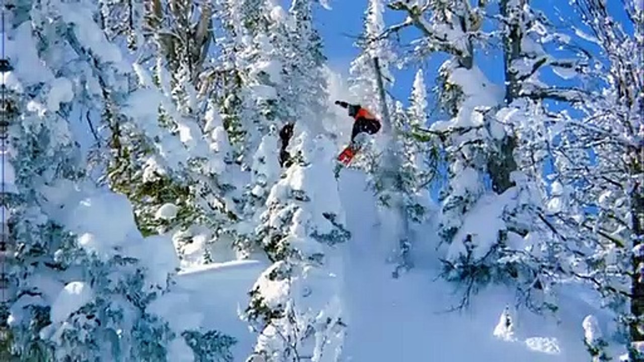 The Art of Flight | movie | 2011 | Official Trailer