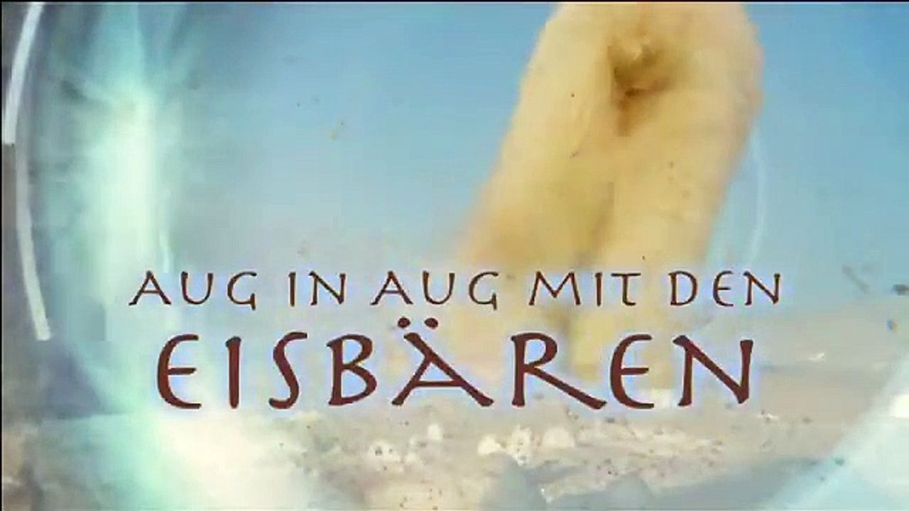 Die Eisbären - Aug In Aug Mit Den Eisbären | movie | 2011 | Official Trailer