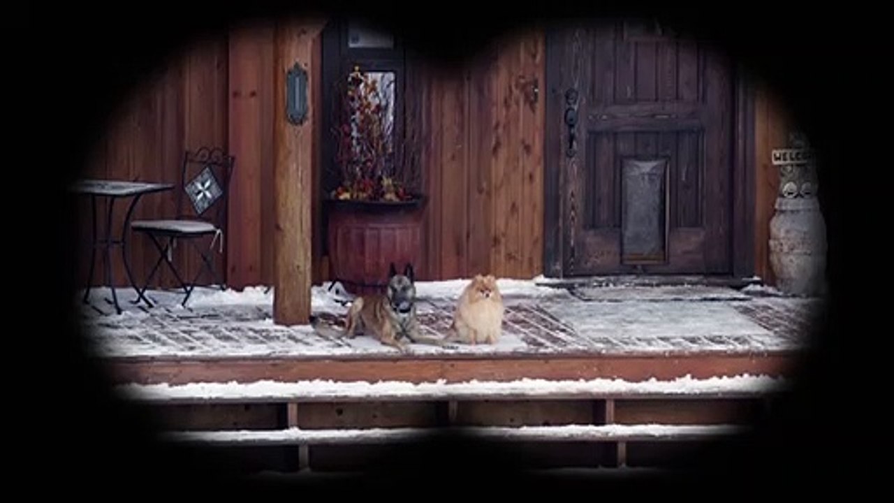 Zwei Helden auf acht Pfoten | movie | 2013 | Official Trailer