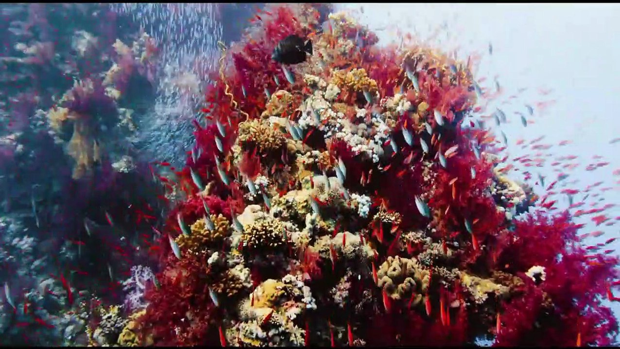 Afrika - Das magische Königreich | movie | 2015 | Official Trailer