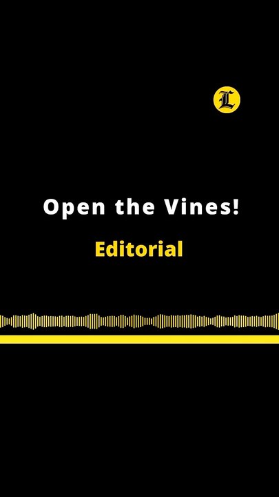 EDITORIAL EN INGLÉS | OPEN THE VINES!