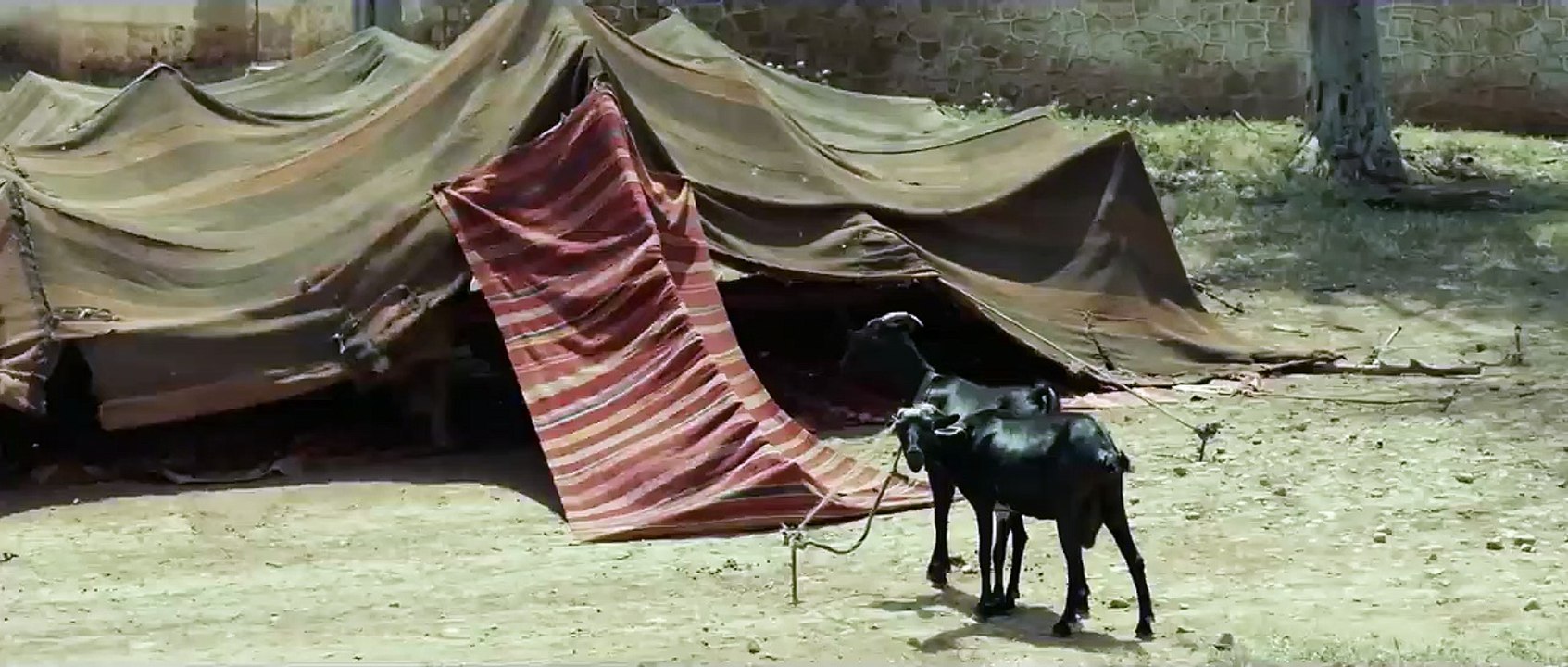 Heliopolis | movie | 2021 | Official Trailer