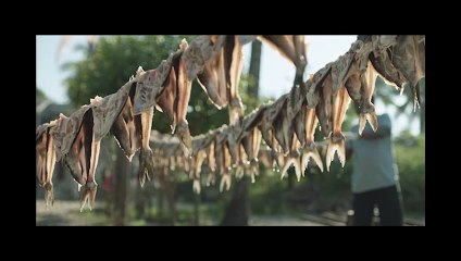 Black Mexicans | movie | 2018 | Official Trailer