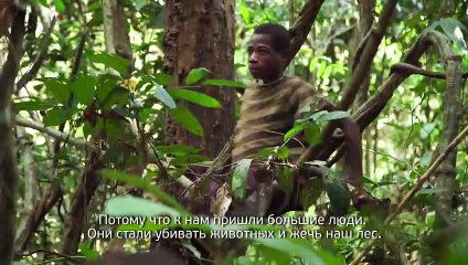 В тени больших деревьев | movie | 2016 | Official Trailer